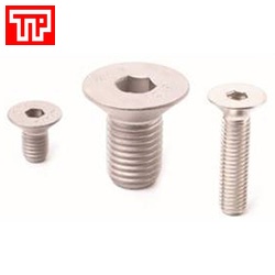 Bu lông lục giác chìm đầu bằng Inox 304